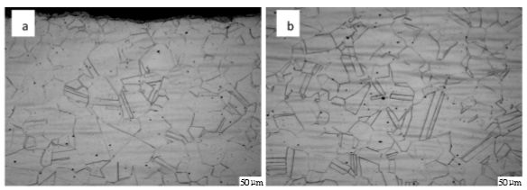 圖6  904L熱軋態(tài)固溶處理后顯微組織（a，邊部；b，心部）.png